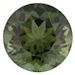 Green Tourmaline - AA Quality